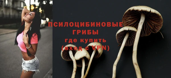 гидропоника Алексин